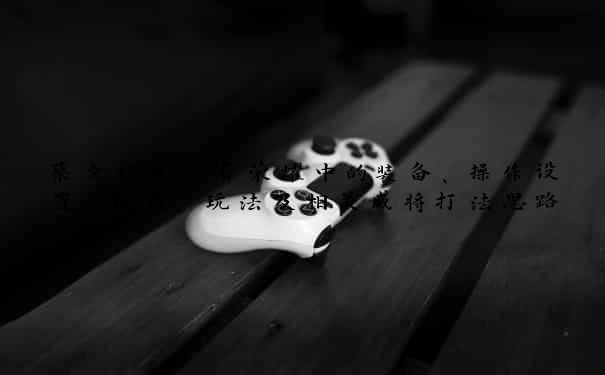 蔡文姬在王者荣耀中的装备、操作设置、技能、玩法及相关咸将打法思路
